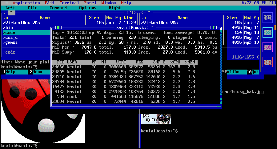 Floating terminal over tiled terminals